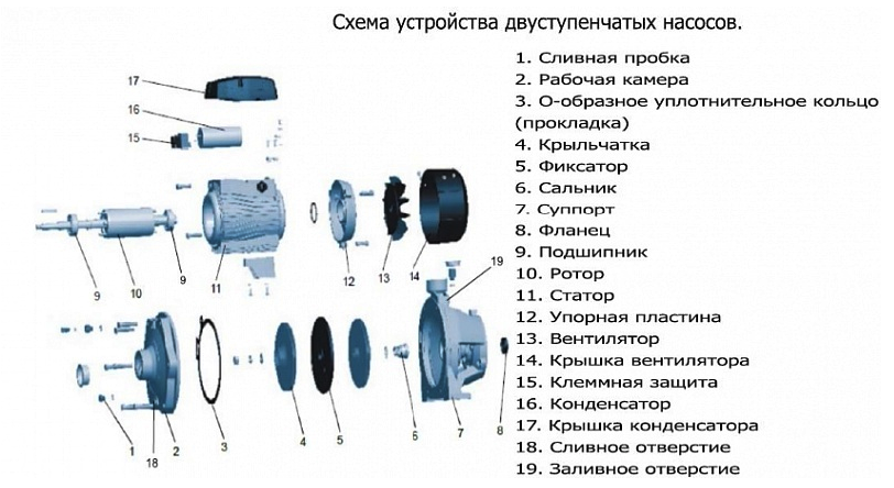 Насос LEO 2ACm300H заказать со складов по всей России