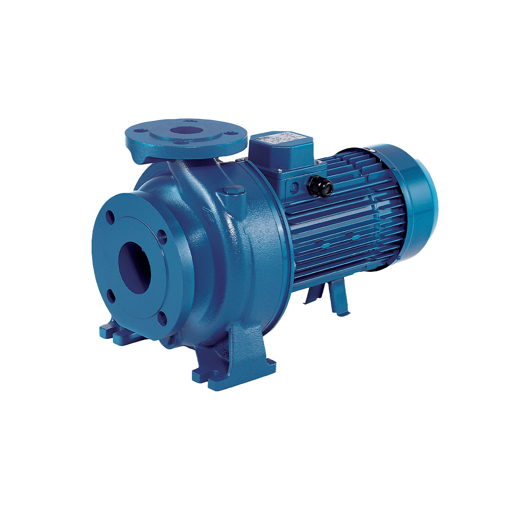 Насос Ebara 3D E/M 65-160/15 IE3 купить с доставкой по РФ