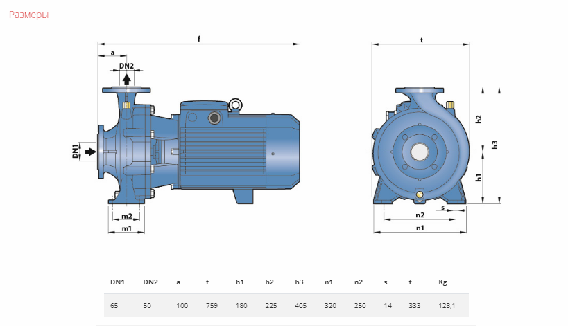 Насос Pedrollo F 50/250 A без контрфланцев купить по цене 304976 руб.