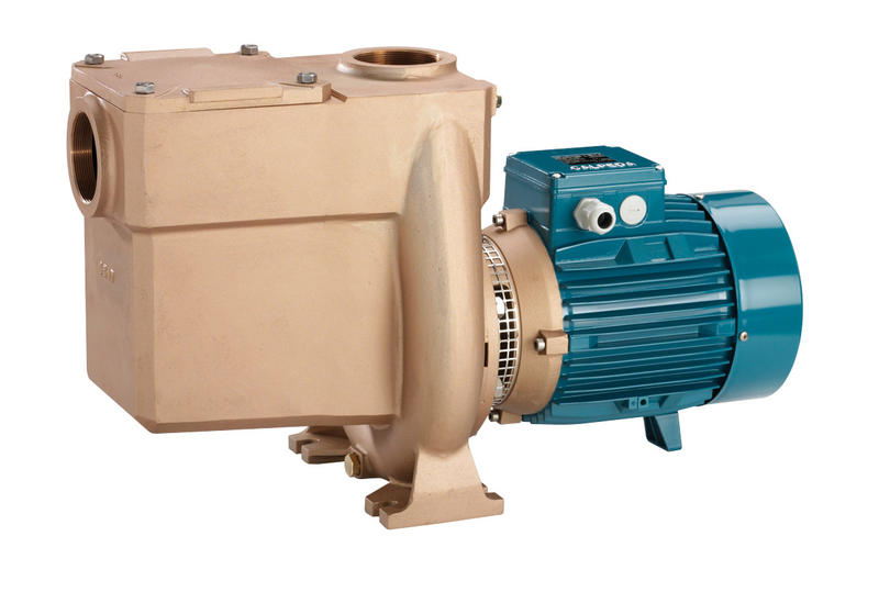 Насос Calpeda BNMPM 50/12GE