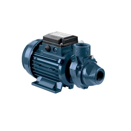 Насос Ebara PRA/I 0.50 T IE3