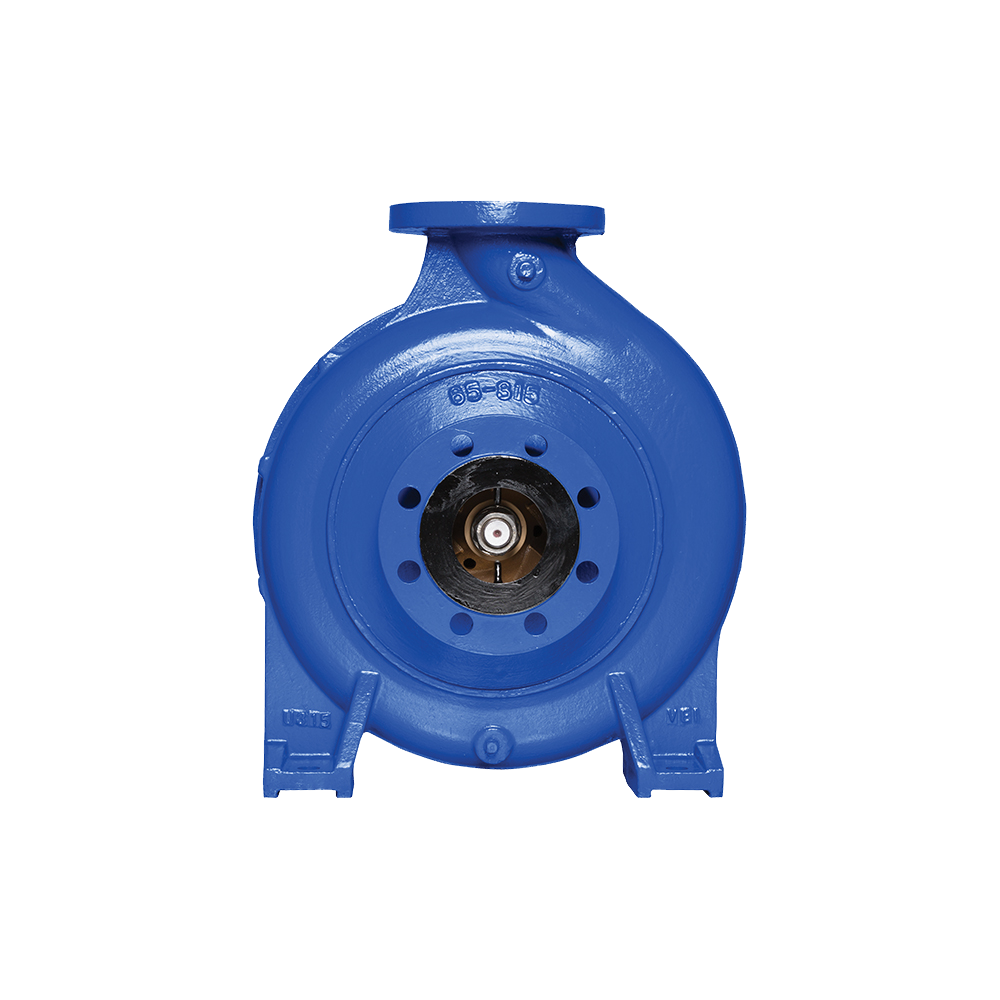 Насос Ebara GS2 50-200-219/B1/E 22 оформить заказ с доставкой с ближайшего склада