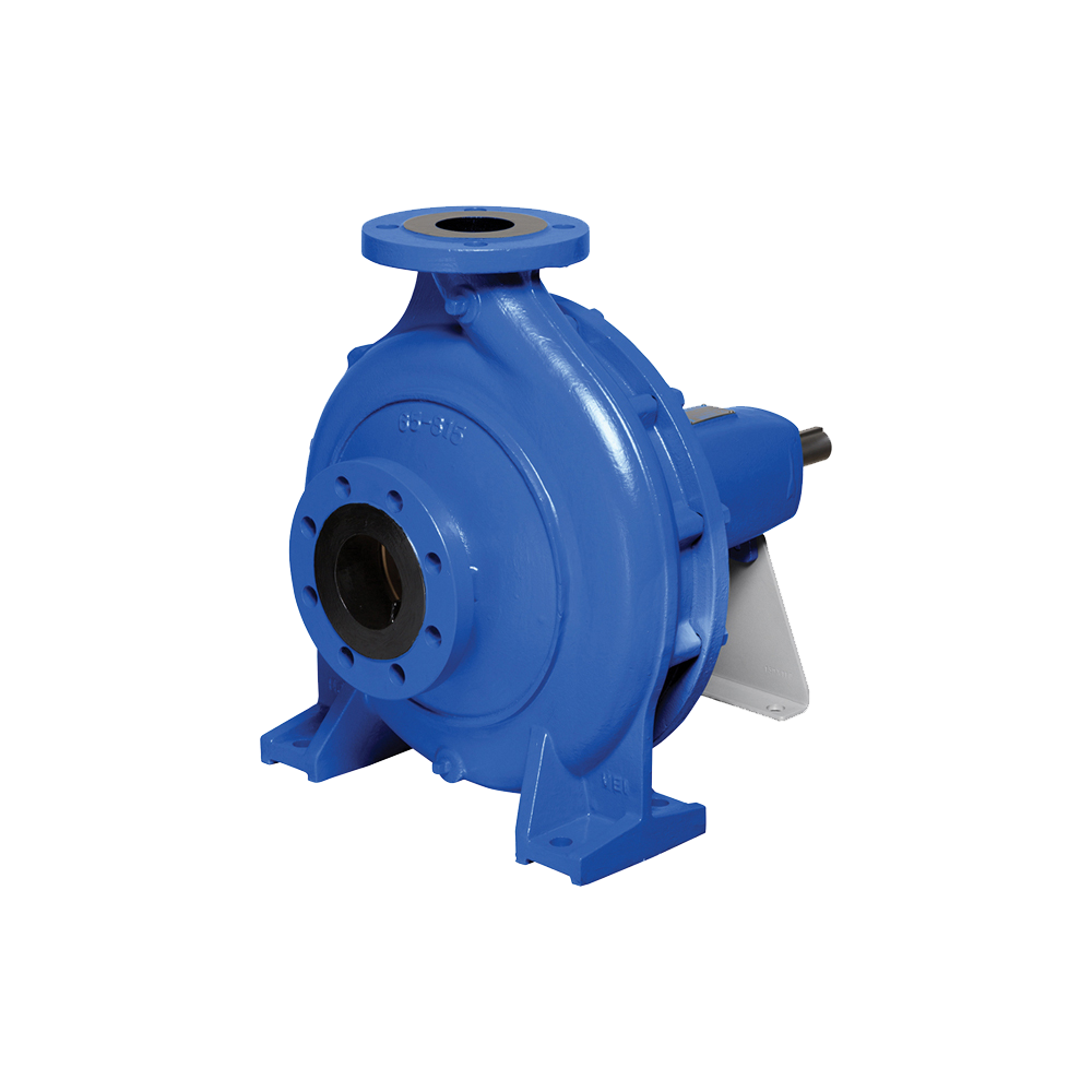Насос Ebara GS2 80-200-222/B1/E 37 купить с доставкой по РФ