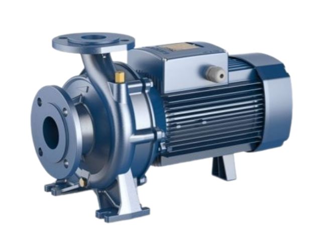 Насос Pedrollo Fm 40/160 C без контрфланцев