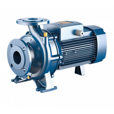 Насос Pedrollo Fm 50/125 C без контрфланцев
