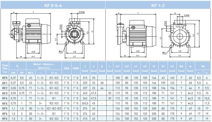 Насос Saer KF 3   230V купить по цене "по запросу"