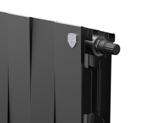 Радиатор Royal Thermo PianoForte 200 /Noir Sable - 20 секций оформить заказ с доставкой с ближайшего склада