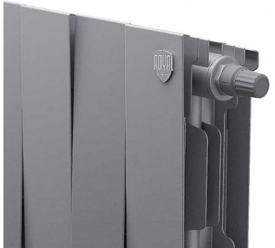 Радиатор Pianoforte Royal Thermo 200 /Silver Satin - 20 секций оформить заказ с доставкой с ближайшего склада
