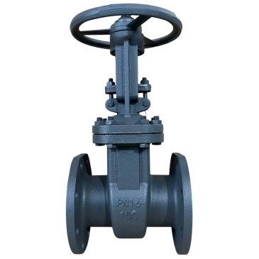 Задвижка клиновая 30с41нж DN.ru GVWR2121M-2W-F-S Ду100 Ру16 D040-10696