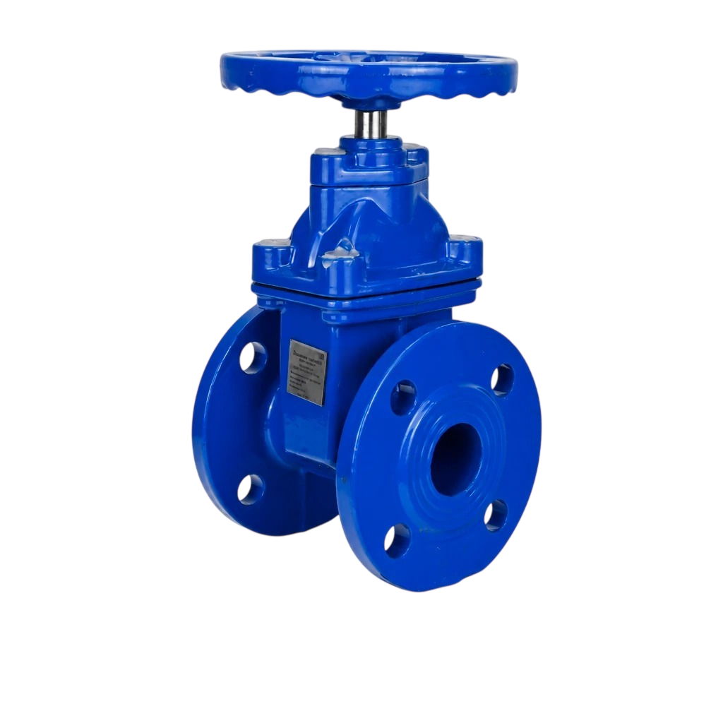 Задвижка клиновая 30ч39р (аналог МЗВ) DN.ru GVWN1414N-2W-F-S blue Ду150 Ру10/16 D040-10584