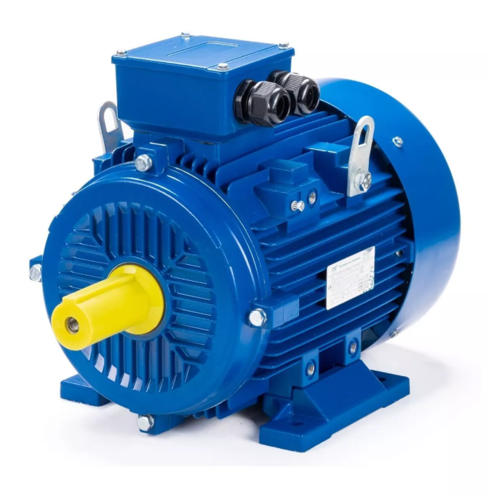 Электродвигатель ESQ 100 L2-GST-HT-H 5.5/3000 IM 1081