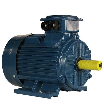Электродвигатель 5АИ 100 L6 ET IM 1081 2.2/1000 Китай (5АИ)