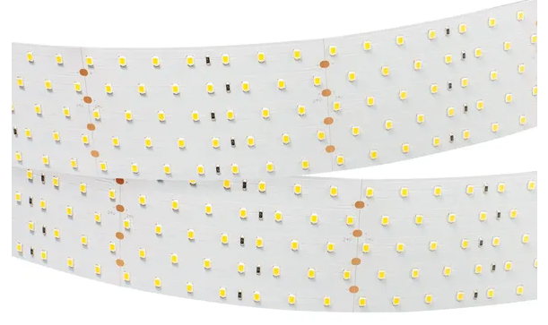Светодиодная лента RT 2-2500 24V Day4000 5x2 (2835, 875 LED, LUX) (Arlight, 36 Вт/м, IP20)