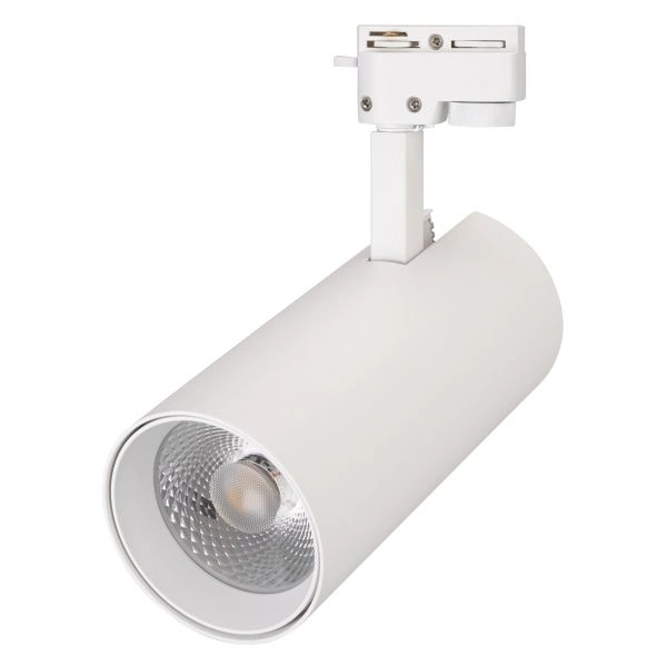 Трековый светодиодный светильник Arlight LGD-Gera-2TR-R74-20W Day4000 025910(1)