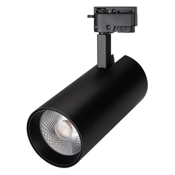 Трековый светодиодный светильник Arlight LGD-Gera-2TR-R55-10W Warm3000 025938(1)