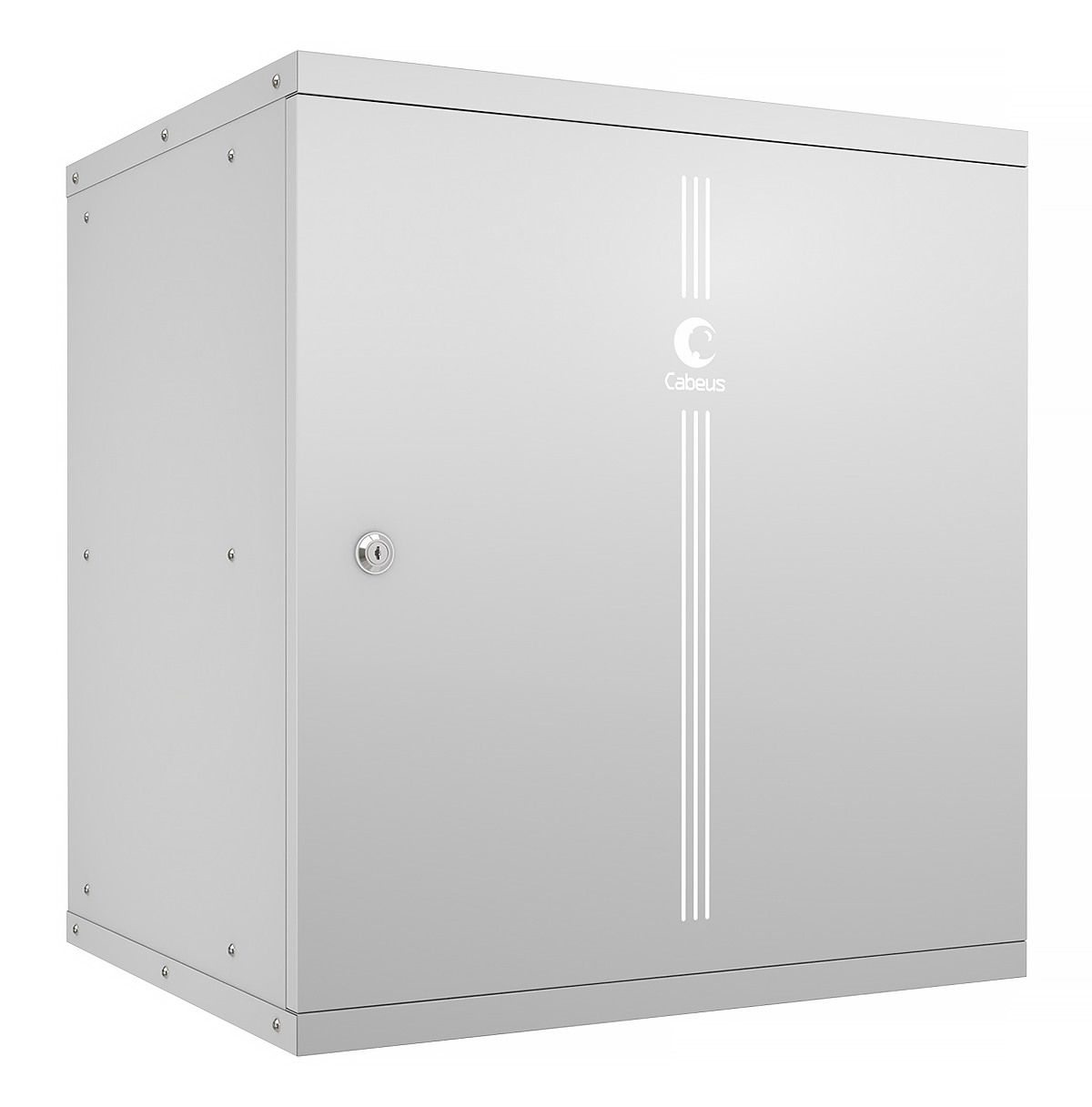Шкаф телекоммуникационный настенный 19" 12U Cabeus WSC-05D-12U55/45m