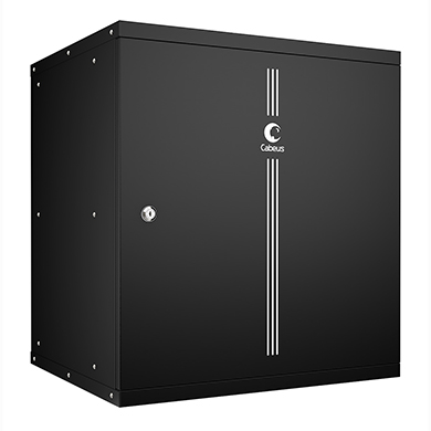 Шкаф телекоммуникационный настенный 19" 12U Cabeus WSC-05D-12U55/45m-BK