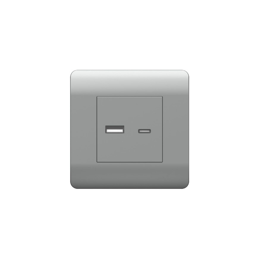 Розетка CHINT USB NEW3-E тип A+C 5В/2.1А серебряный купить с доставкой по РФ