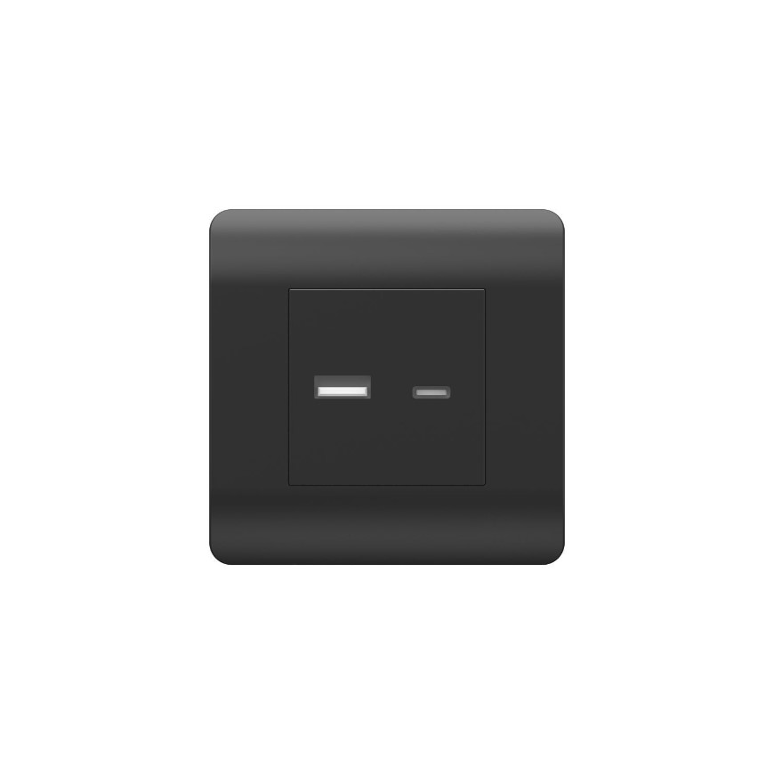 Розетка CHINT USB NEW3-E тип A+C 5В/2.1А черный купить с доставкой по РФ