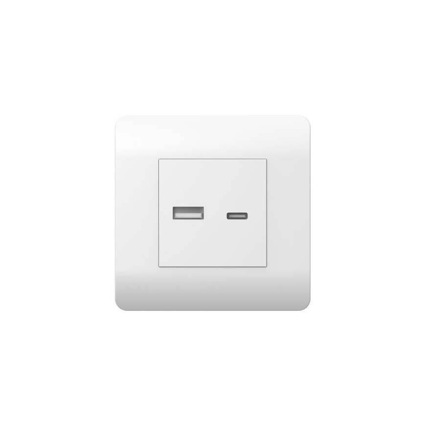 Розетка CHINT USB NEW3-E тип A+C 5В/2.1А белый купить с доставкой по РФ