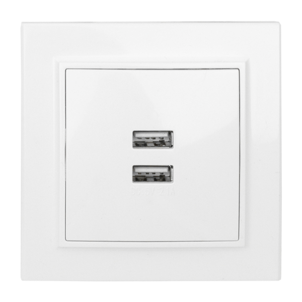 Розетка EKF 2 USB Минск скрытой установки 2,1А+2,1А в сборе белый ERR-2 USB-100