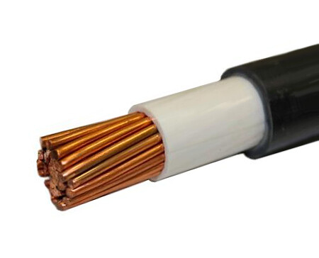 Кабель(провод) ВВГнг(А)-LS 1х185 (мк)  - 1