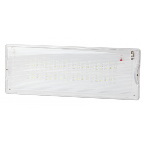 Аварийный светильник постоянный ЭРА DPA-1 40LED 3ч NiCD