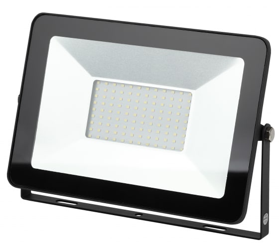 Прожектор ЭРА Eco LPR-100-6500K SMD Eco Slim 100Вт 9000Лм 6500K 305х205 купить с доставкой по РФ
