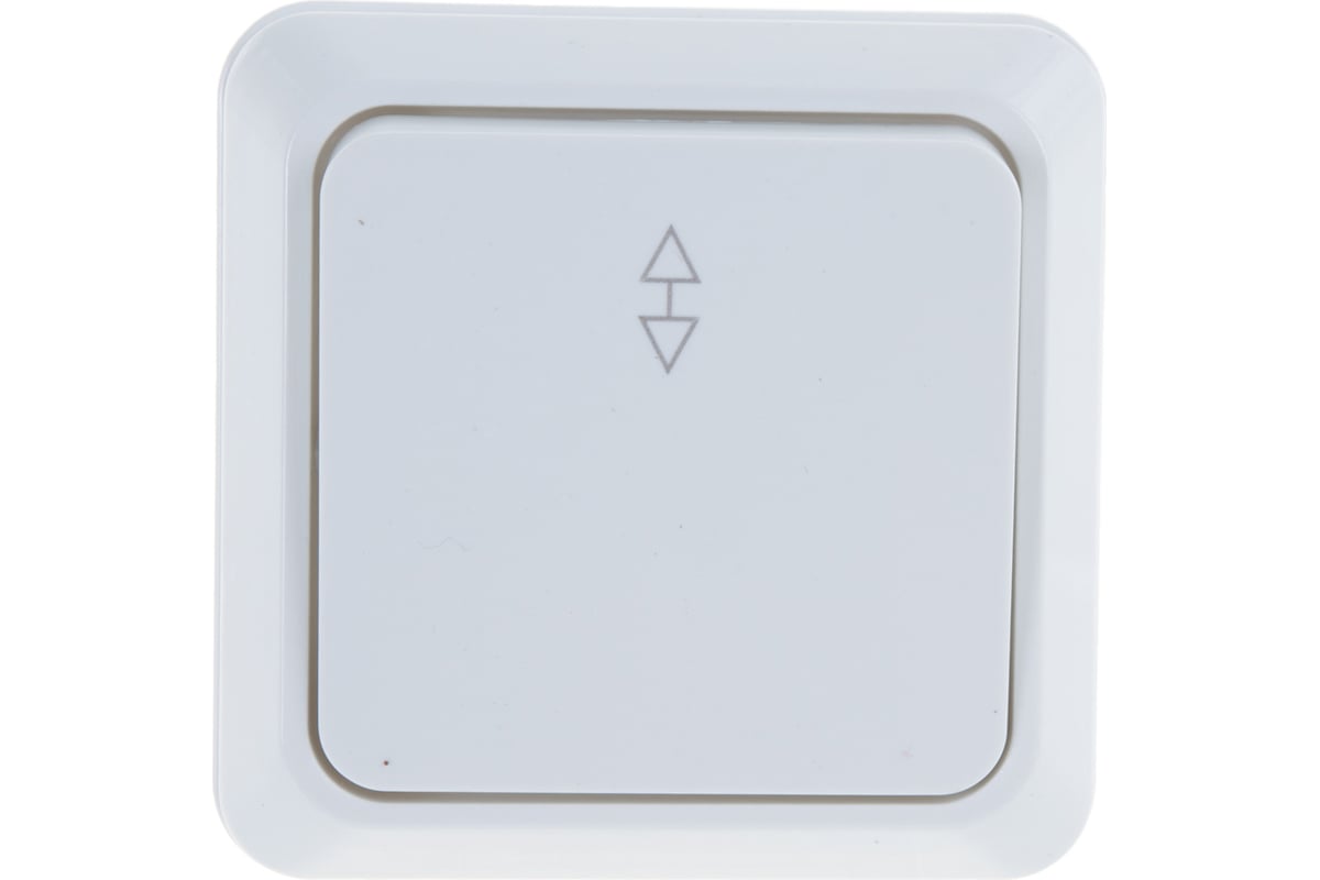 Переключатель одноклавишный Intro Quadro 2Э-103-01 10А-250В, IP20, ОУ, без монтажной пластины, белый купить с доставкой по РФ