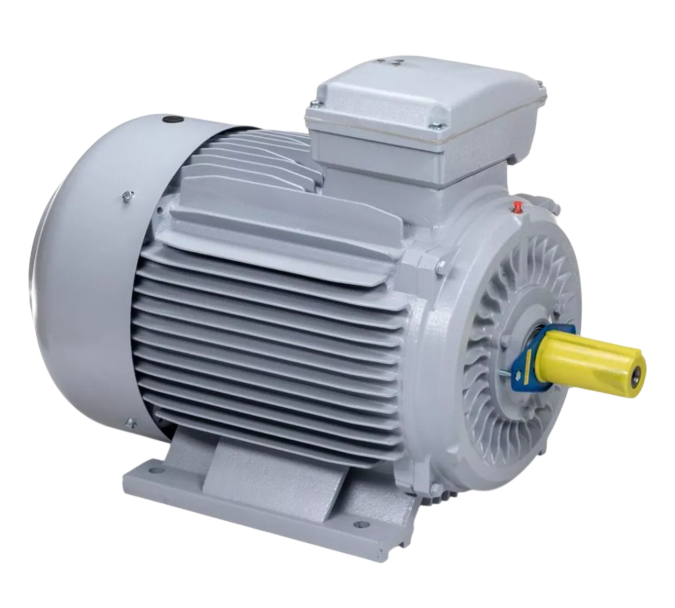 Электродвигатель ESQ 250 M4-SDN-Б1-S12-IE2 IM B3 55/1500 PR купить с доставкой по РФ