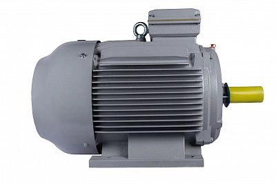 Двигатель для насоса ESQ 280 S4-SDN-Б1-S12-IE2 IM B3 75/1500 Китай (ESQ PR)