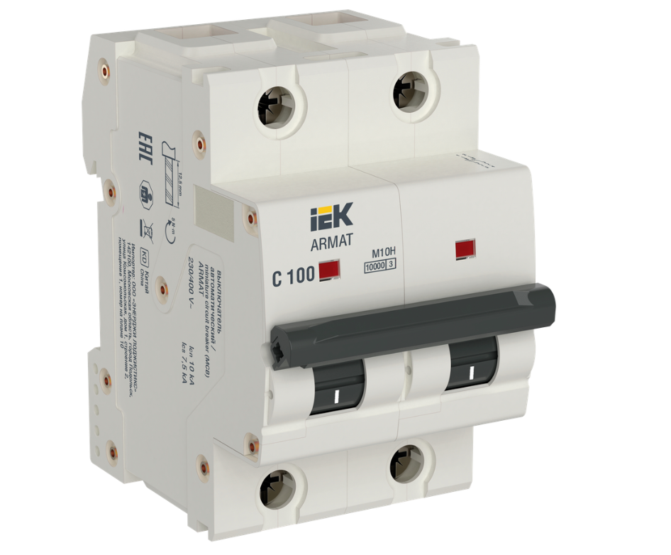 Автоматический выключатель IEK ARMAT M10H 2P C 100A