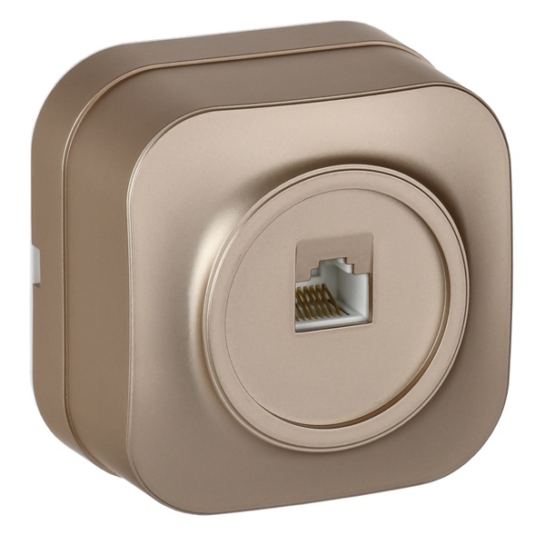 Роз. комп. IEK GLORY RJ45 кат.5E о/у РК10-ХШм шамп. м.