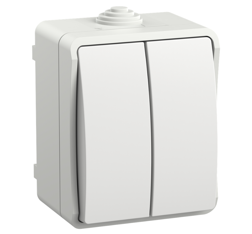 Выключатель IEK FORS 2-клавишный ФОРС для открытой установки 10А IP54 ВС20-2-0-ФБ белый купить с доставкой по РФ