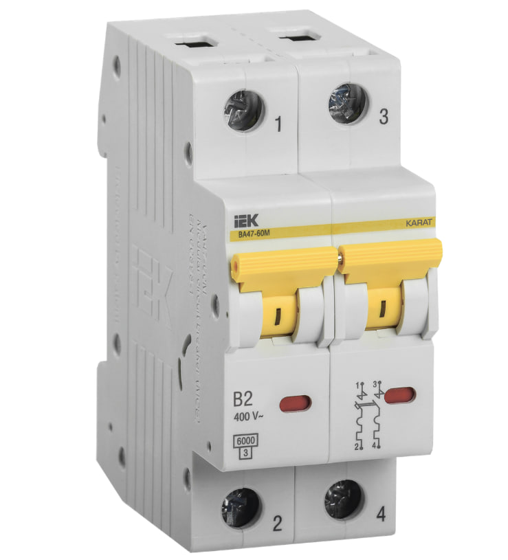 Выключатель автоматический ВА47-60M 2Р 2А 6кА B MVA31-2-002-B IEK купить с доставкой по РФ