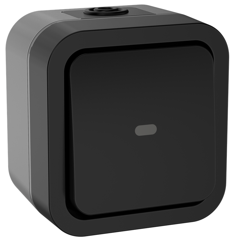 Переключатель одноклавишный с индикацией IEK TORS 10А IP55 TS102 графит