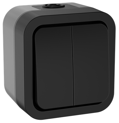 Выключатель двухклавишный IEK TORS 10А IP55 графит
