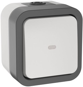 Выключ. IEK TORS двухкл. прох. 10А IP55 TS225 сер-бел