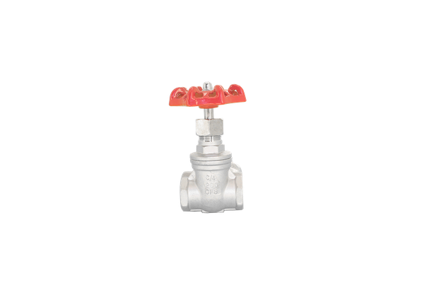 Задвижка iFITTING клиновая муфтовая нержавеющая, AISI304 DN32 (1_1/4"), (CF8), PN40 купить с доставкой по РФ