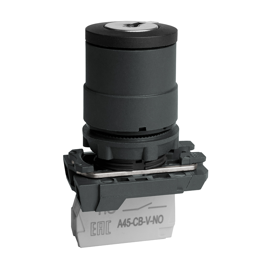 Переключатель КЭАЗ OptiSignal D22 C5-SK-21 с ключем 2 поз пластик 1НО XB5AG21 332184