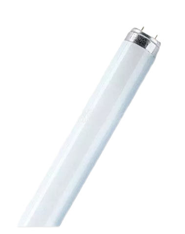 Лампа люминесцентная Ledvance L 18W/865 LUMILUX 18Вт T8 6500К G13 смол. OSRAM купить с доставкой по РФ