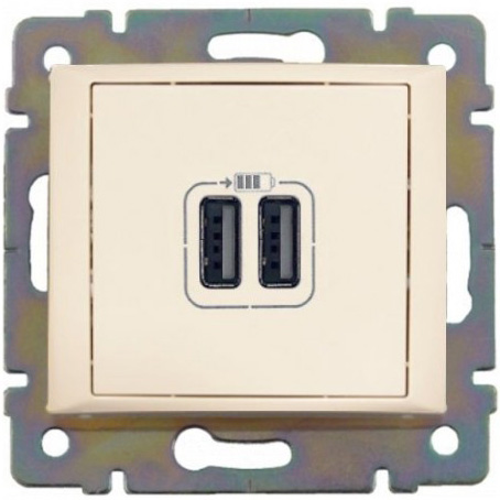 Розетка двойная Legrand VALENA USB слоновая кость