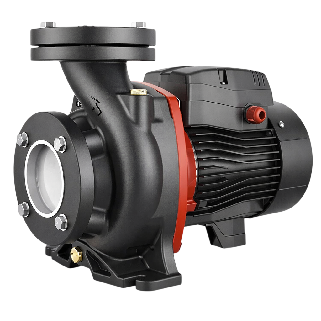 Насос "LEO" модель AC150BF2 купить с доставкой по РФ