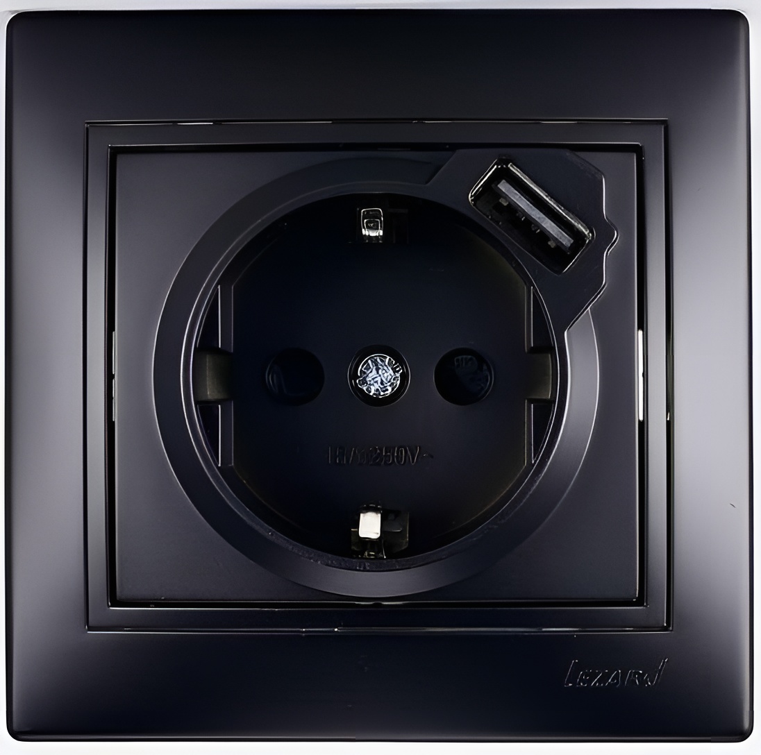 Розетка Lezard Mira 1-м с заземлением + USB разъем черный бархат 701-4242-181 16А купить с доставкой по РФ