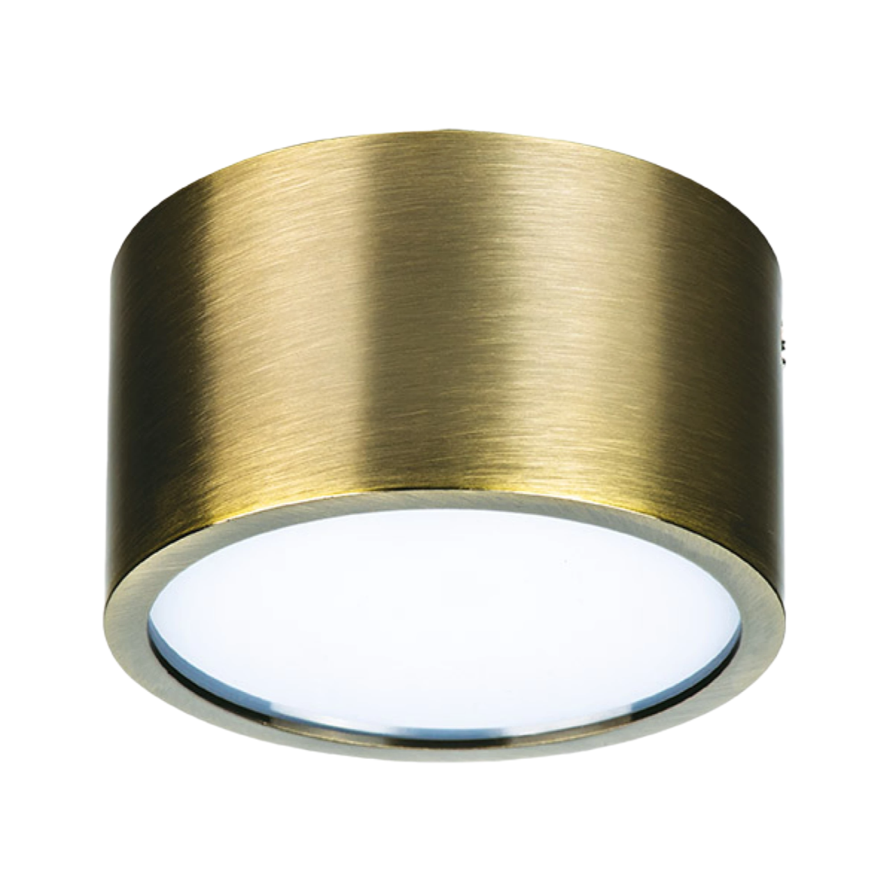 Потолочный светодиодный светильник Lightstar Zolla 211911