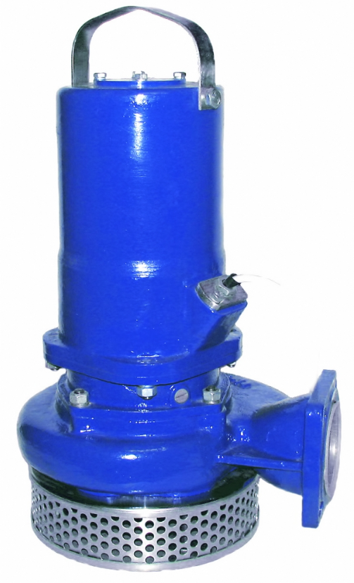 Электрический насос Ливгидромаш Гном 10-10Г S1 купить с доставкой по РФ