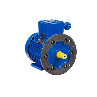 Электродвигатель Орлан АИМУР 100 L2 У1, 380В, 1ExdIIBT4 Gb, IM 2081 5.5/3000