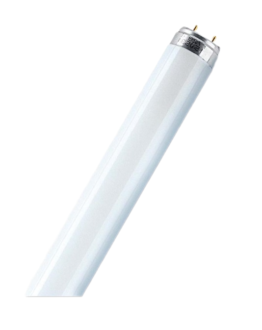 Лампа люминесцентная линейная OSRAM basic 36 вт g13 6500 k 2500 lm 360 град. t8