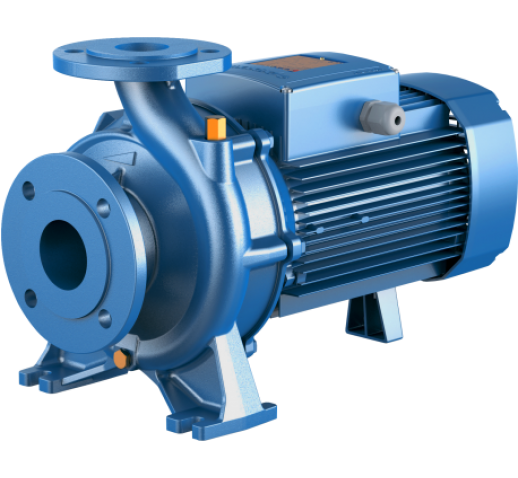 Насос Pedrollo Fm 32/160 C без контрфланцев