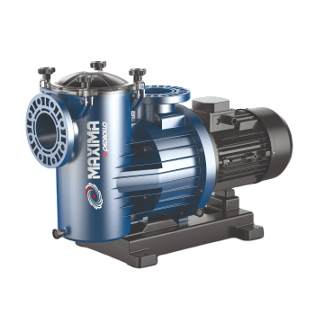 Насос Pedrollo MAXIMA 400 V230/400/50Hz купить с доставкой по РФ
